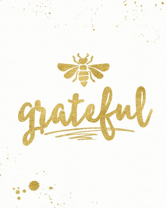 gratitude: the 1 way ticket to&nbsp;peace.